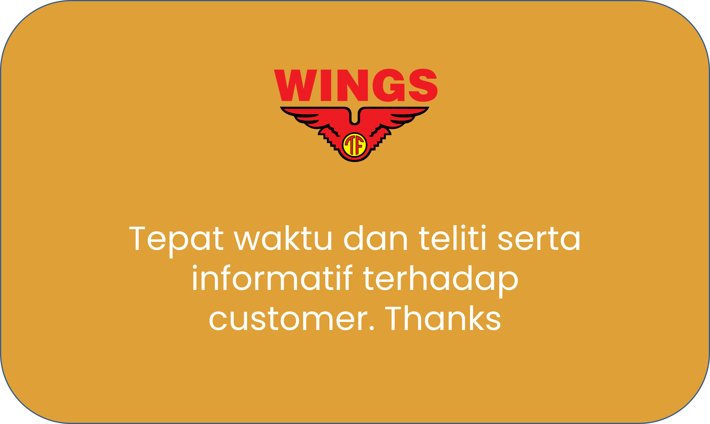 testi wings(1)